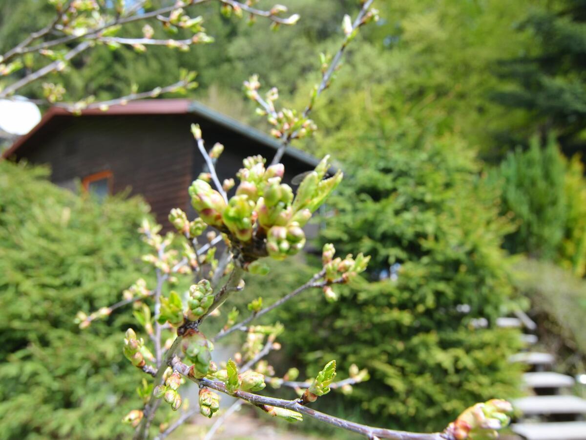Holiday Home With Terrace Stadlern Bagian luar foto
